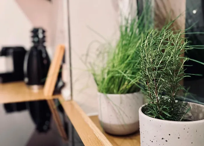 Gaestehaus Gruene Oase